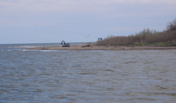 -DSC00218