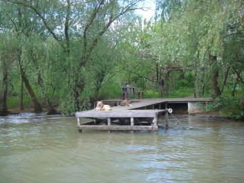 photo 1094309