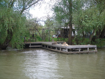 photo 1094310