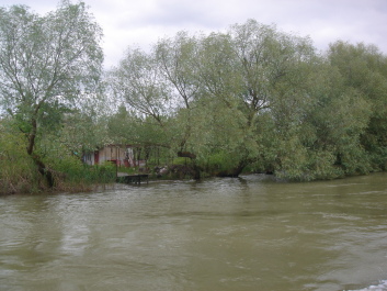 photo 1094311