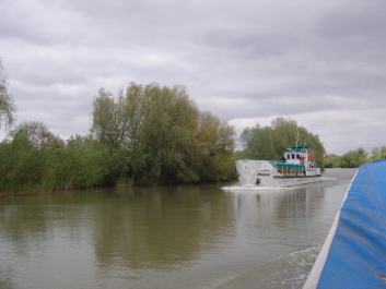 photo 1094312