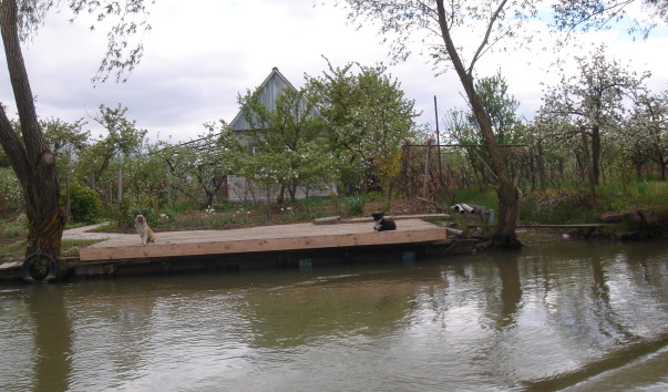 -DSC00190