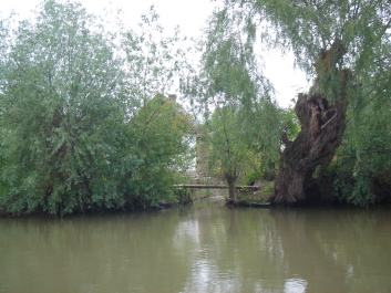 photo 1094316
