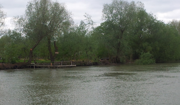 -20150503_152419