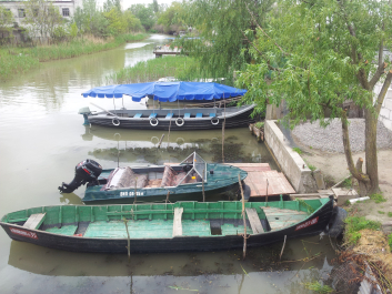 photo 1094323