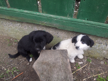 photo 1094326