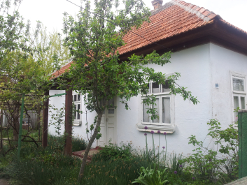 photo 1094328
