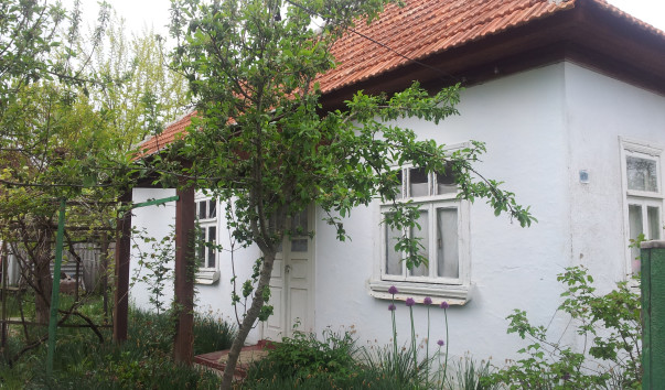 -20150503_130342