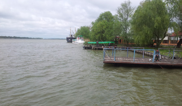 -20150503_112831