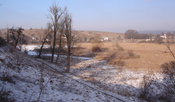  -10