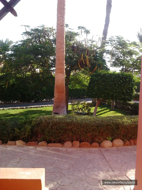 photo 849930