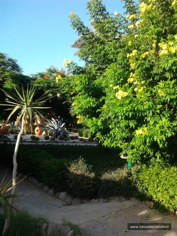 photo 849934