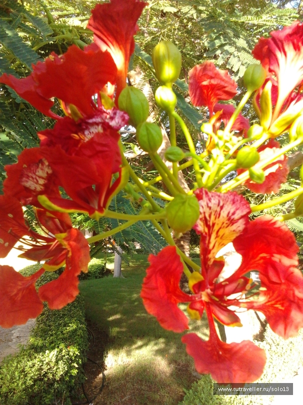 photo 849939
