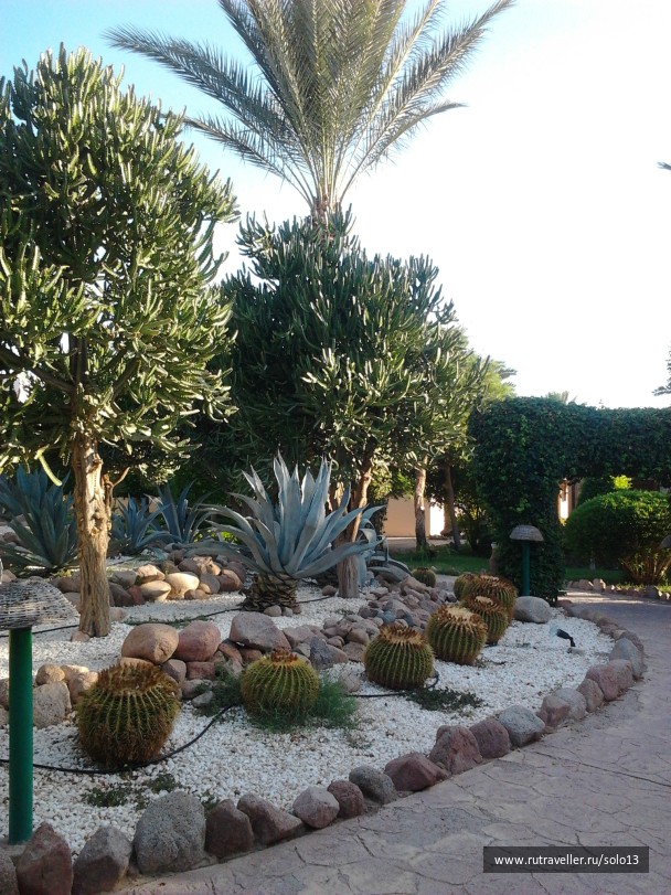 photo 849942