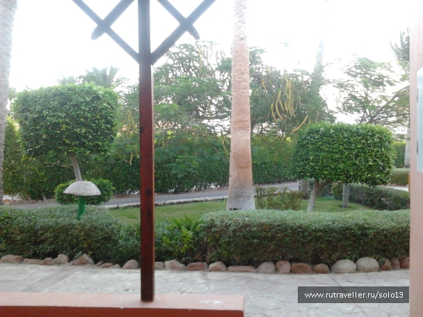 photo 849950