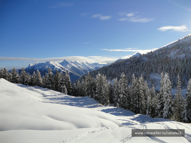 photo 254365