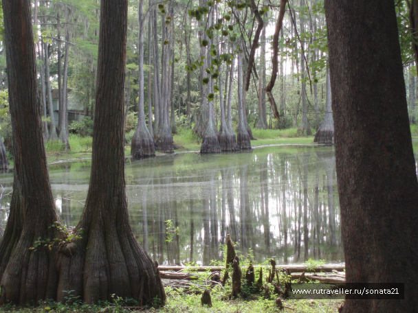 photo 254360