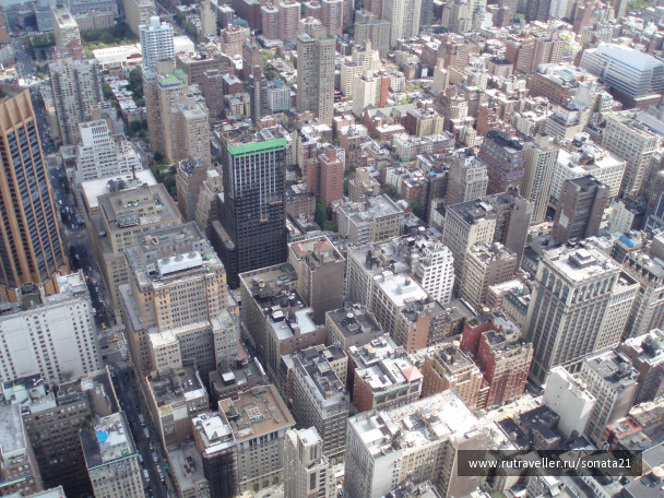 photo 254361