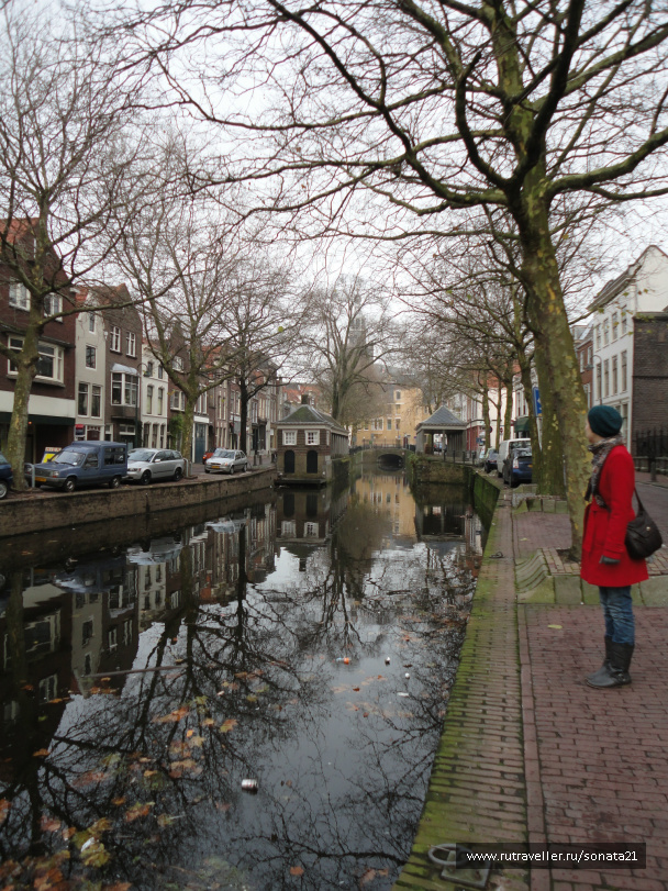 photo 254366