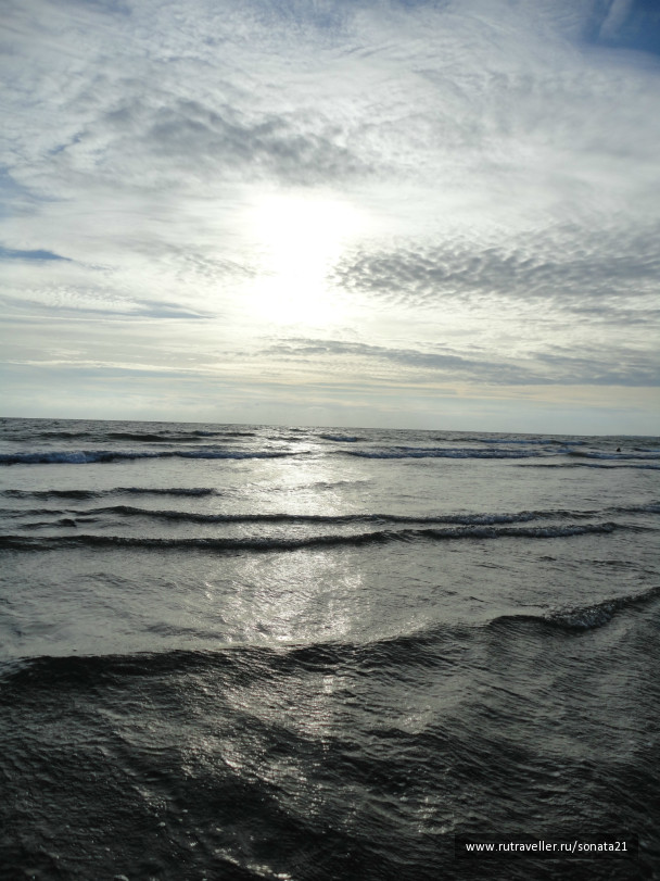 photo 254367
