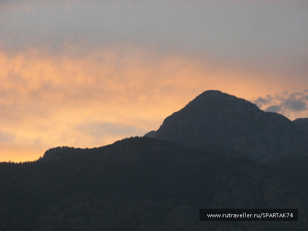 photo 287249