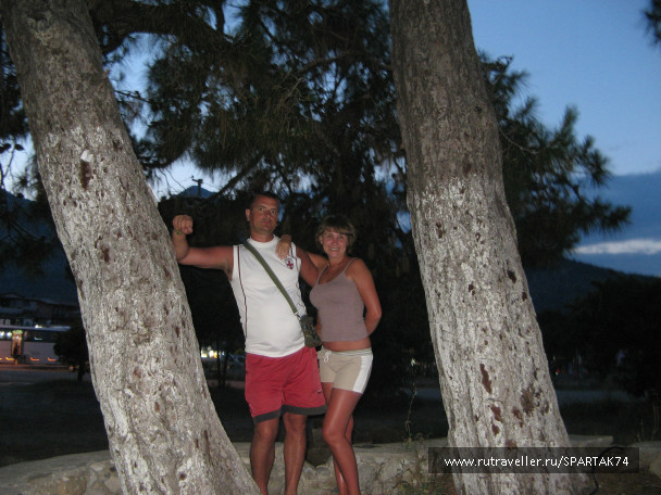 photo 290175