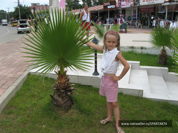 photo 290185