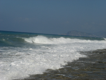 photo 290079