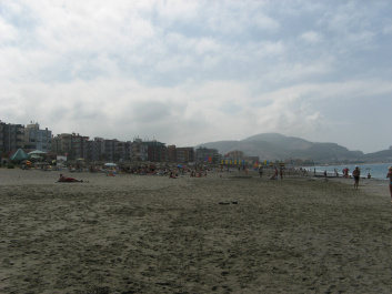 photo 290088