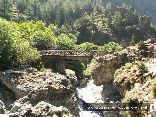 photo 369832