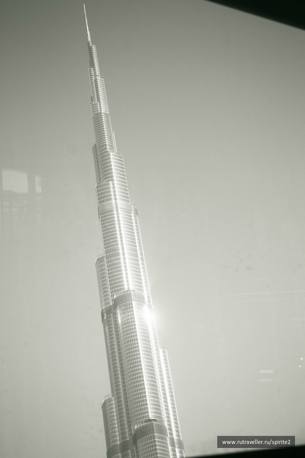 photo 167645