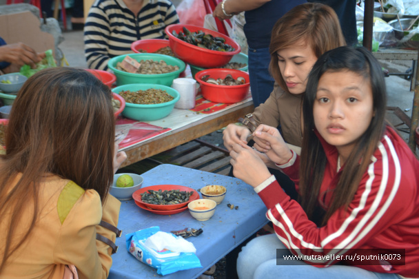 photo 487471