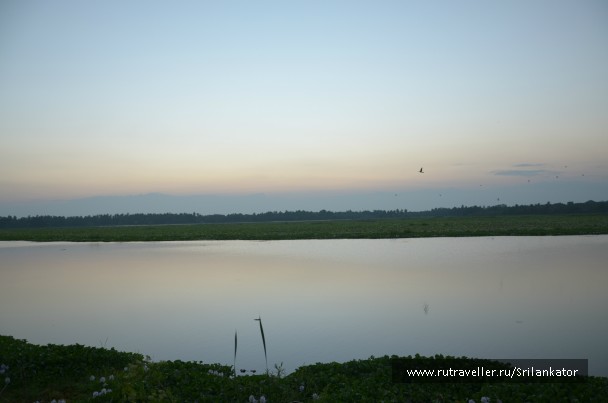 photo 970881