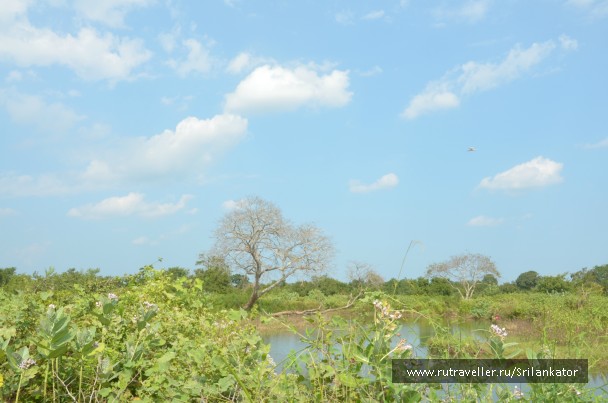 photo 970891
