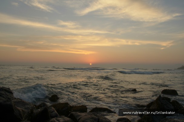 photo 971329