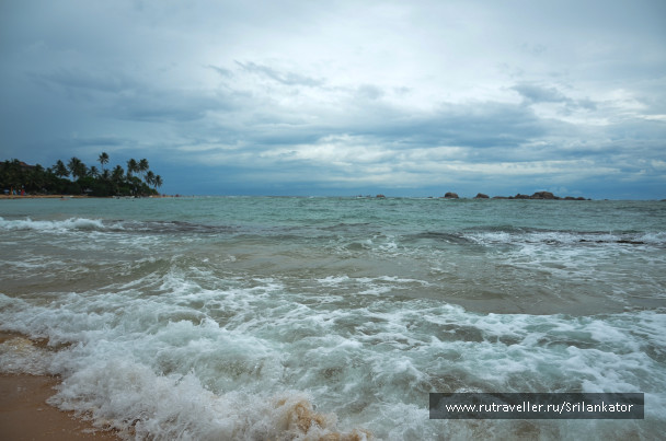 photo 1687757