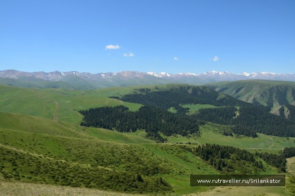 photo 1028816