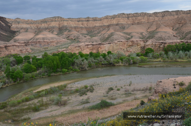 photo 1029015