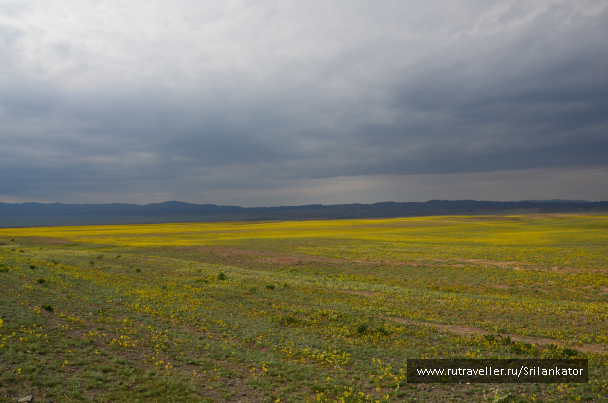 photo 1029017