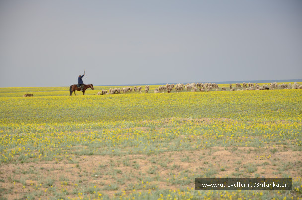 photo 1029028