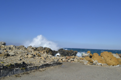 photo 550615