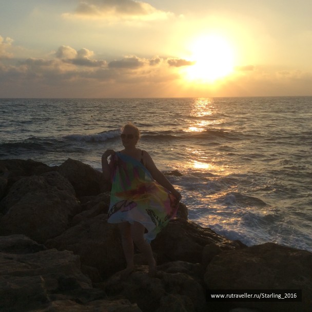 photo 1369980