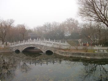 photo 968861