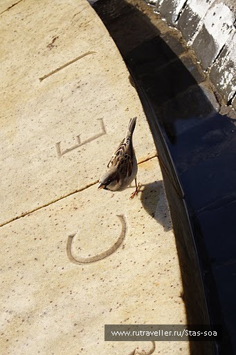 photo 24198