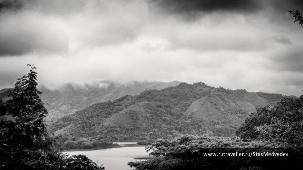 photo 267714
