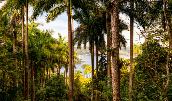 Sierra del Escambray