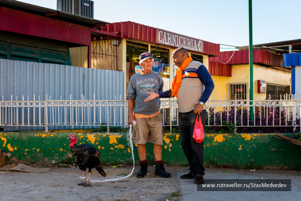 photo 267742