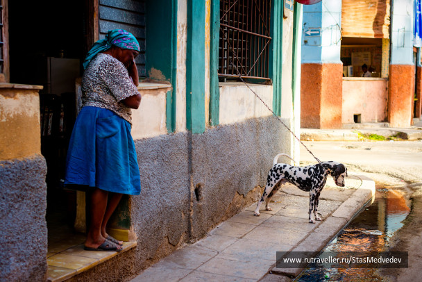photo 267745