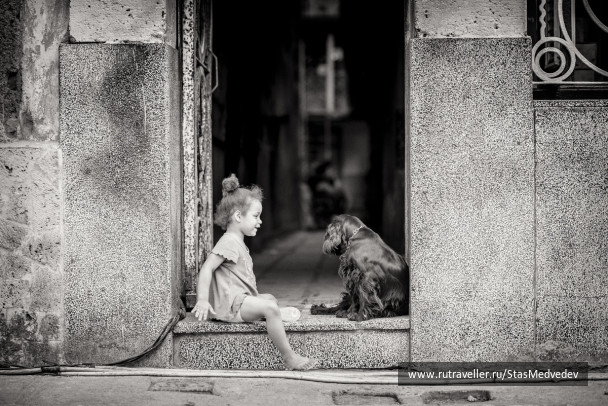 photo 267748
