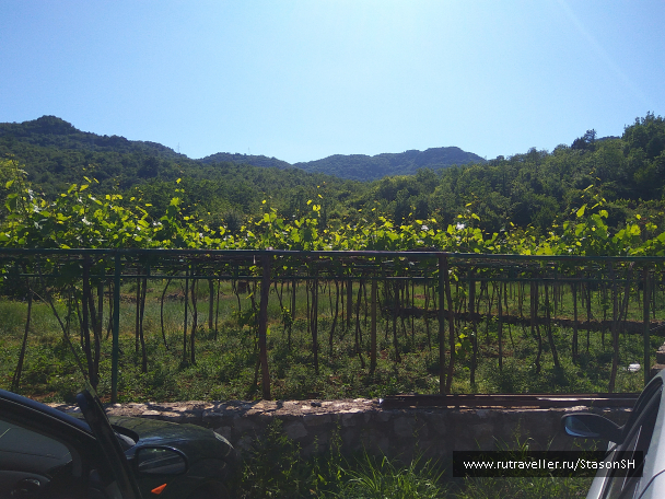 photo 1487832